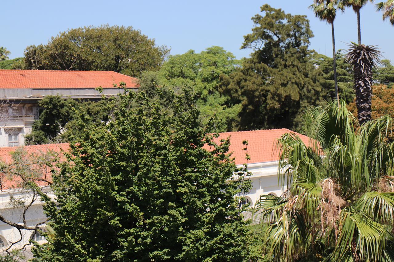 Botanic Views Guest House Lisboa المظهر الخارجي الصورة
