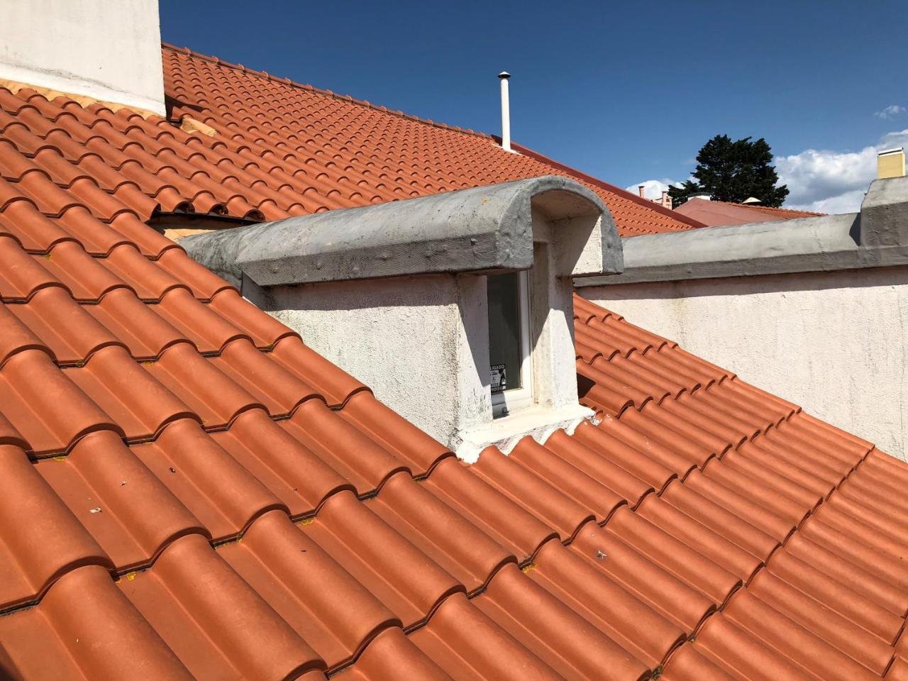 Botanic Views Guest House Lisboa المظهر الخارجي الصورة